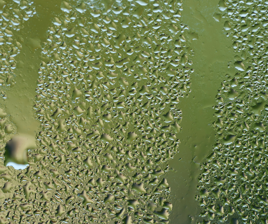 The Challenges of Durban’s Climate