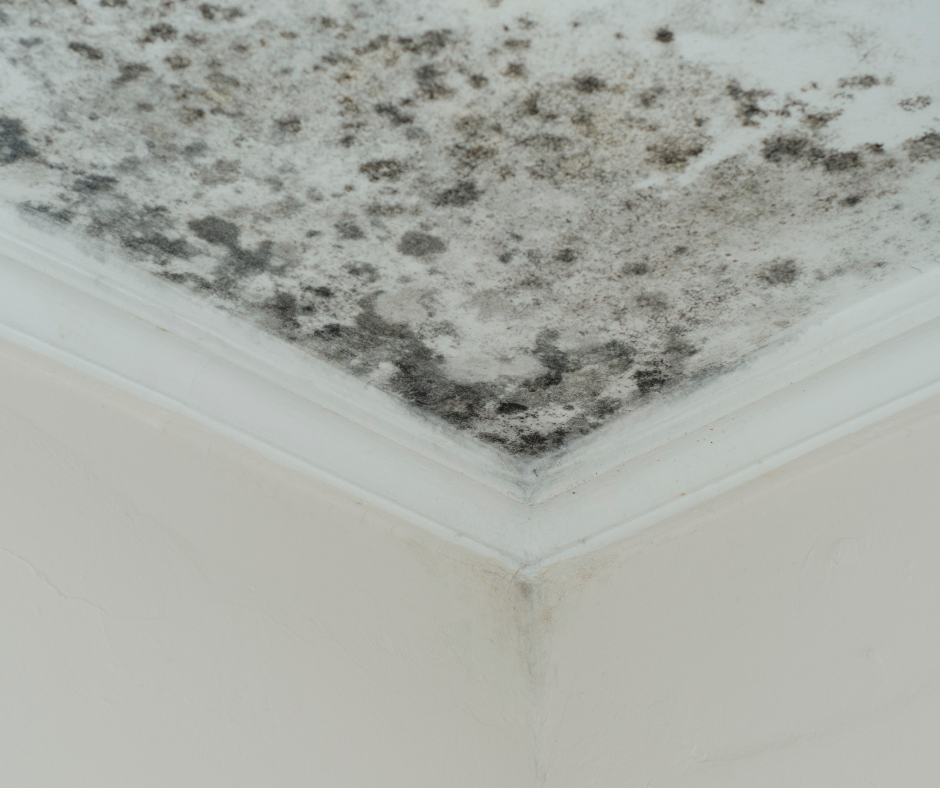 Common Waterproofing Problems in Durban Homes