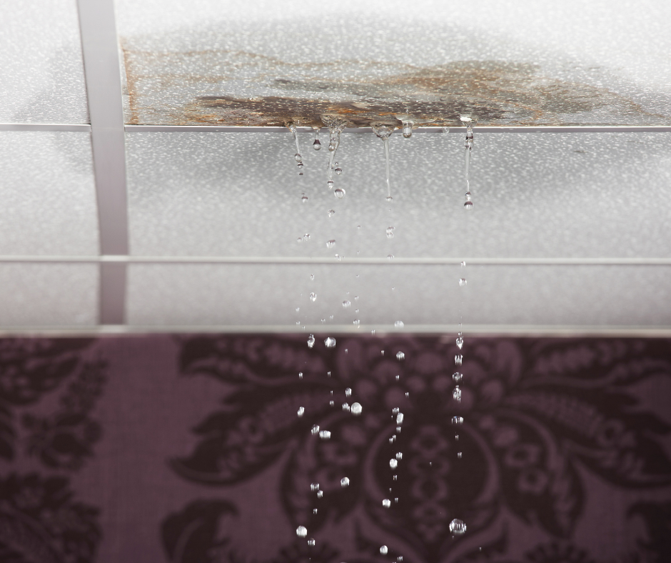 Risks of Skipping Waterproofing
