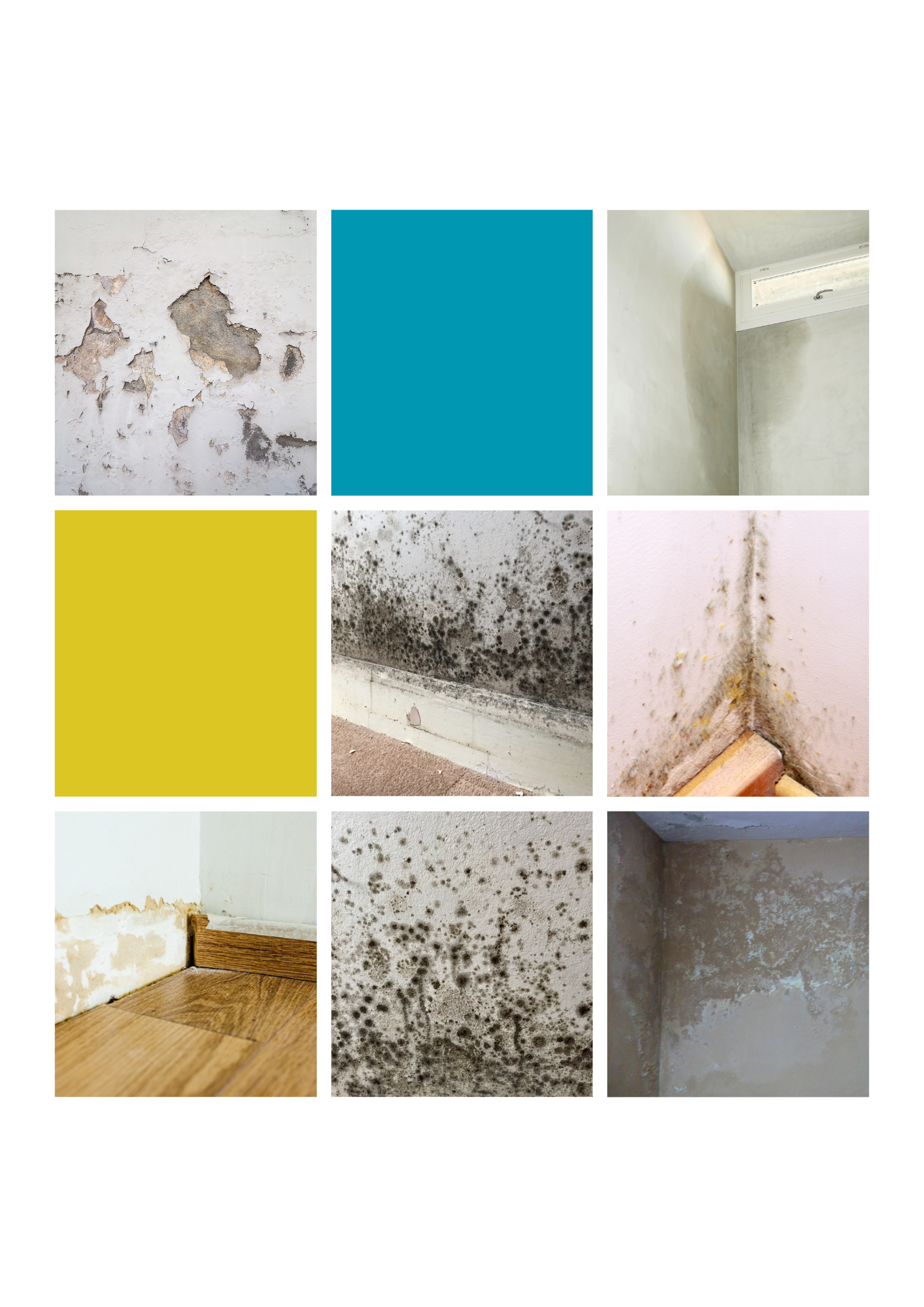 Leaks, damp patches, and mould aren’t just ugly — they’re dangerous.